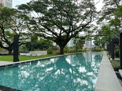 Irwell Hill Residences (D9), Apartment #444519601